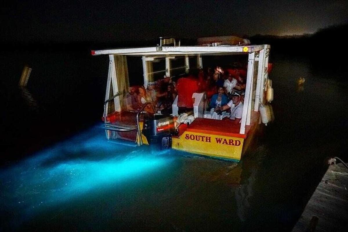 sekumpulan orang yang menaiki roller coaster