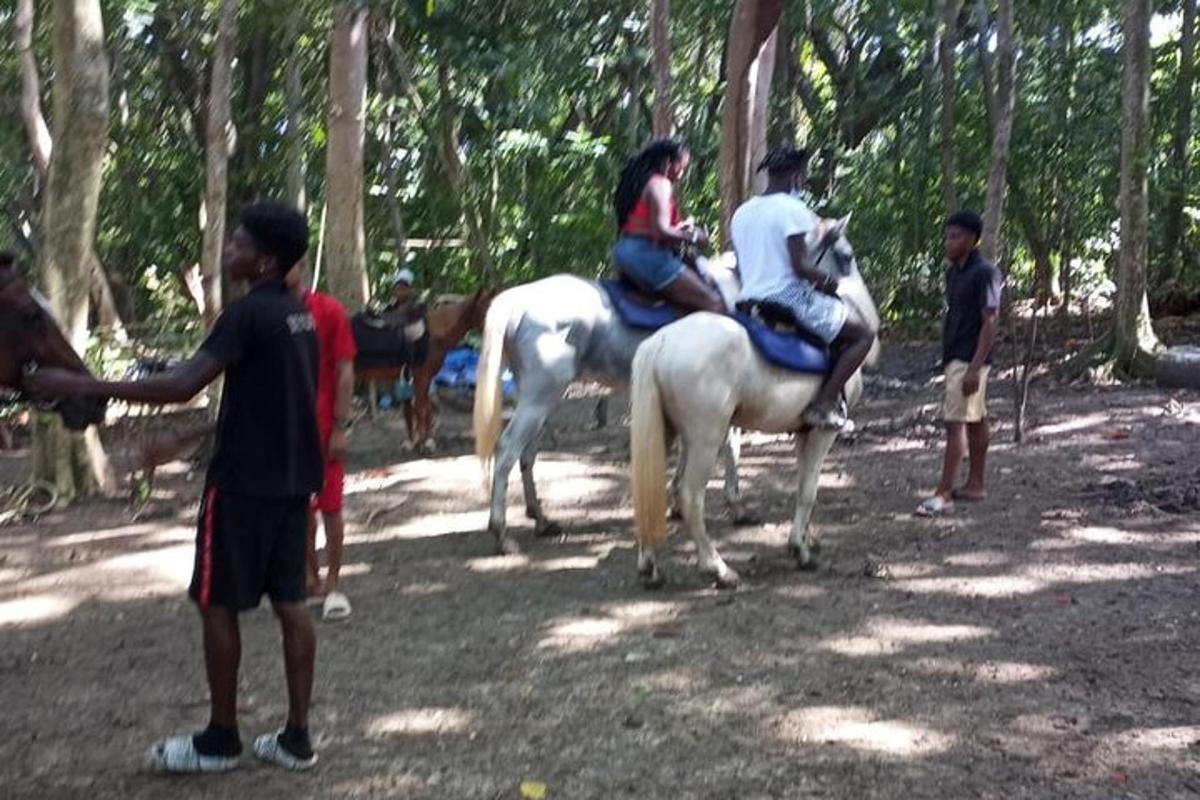 a group of people riding horses in the woods