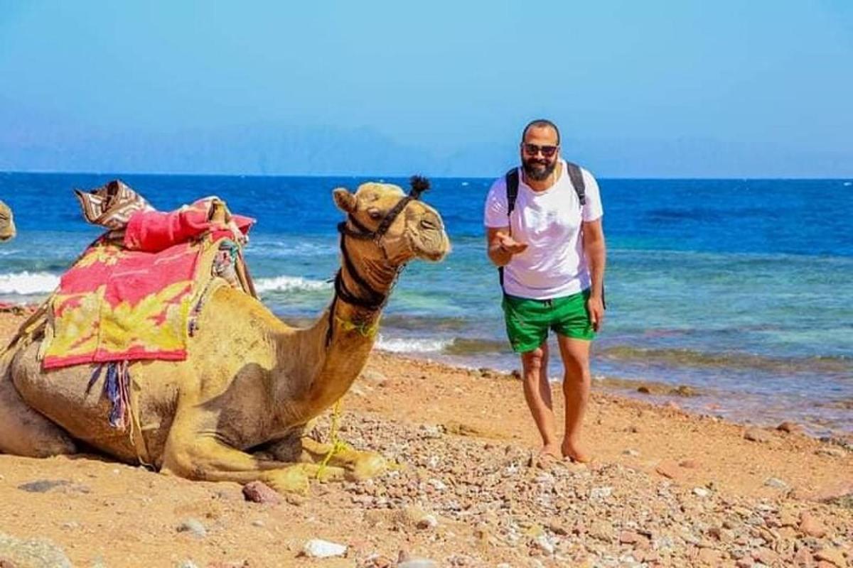 en mann som står ved siden av en kamel på en strand