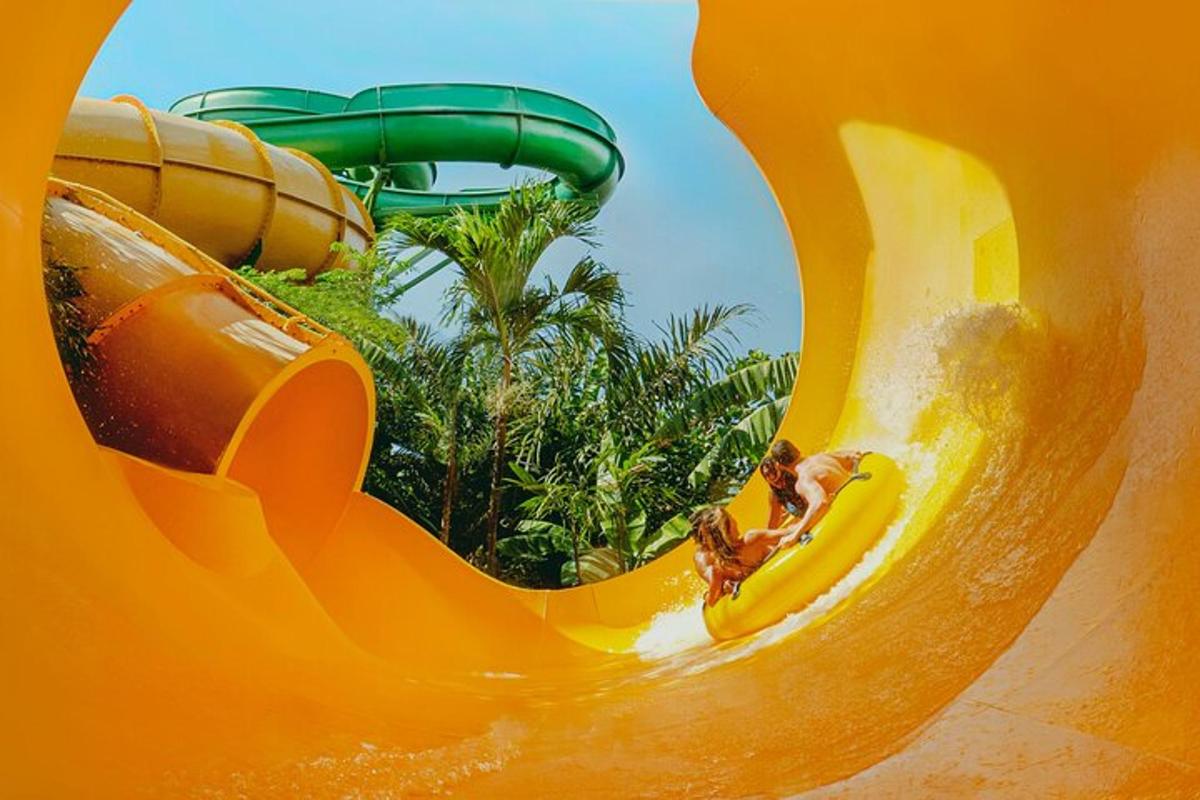 Attraction picture 3