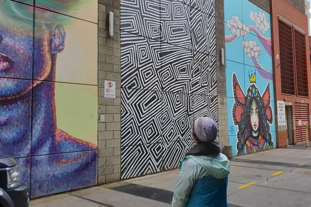 a person is looking at a mural on a building