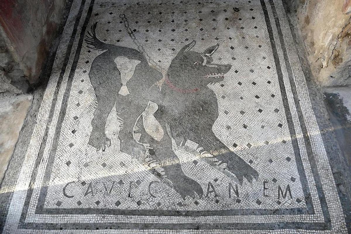 a mosaic of a cat on the floor of a building