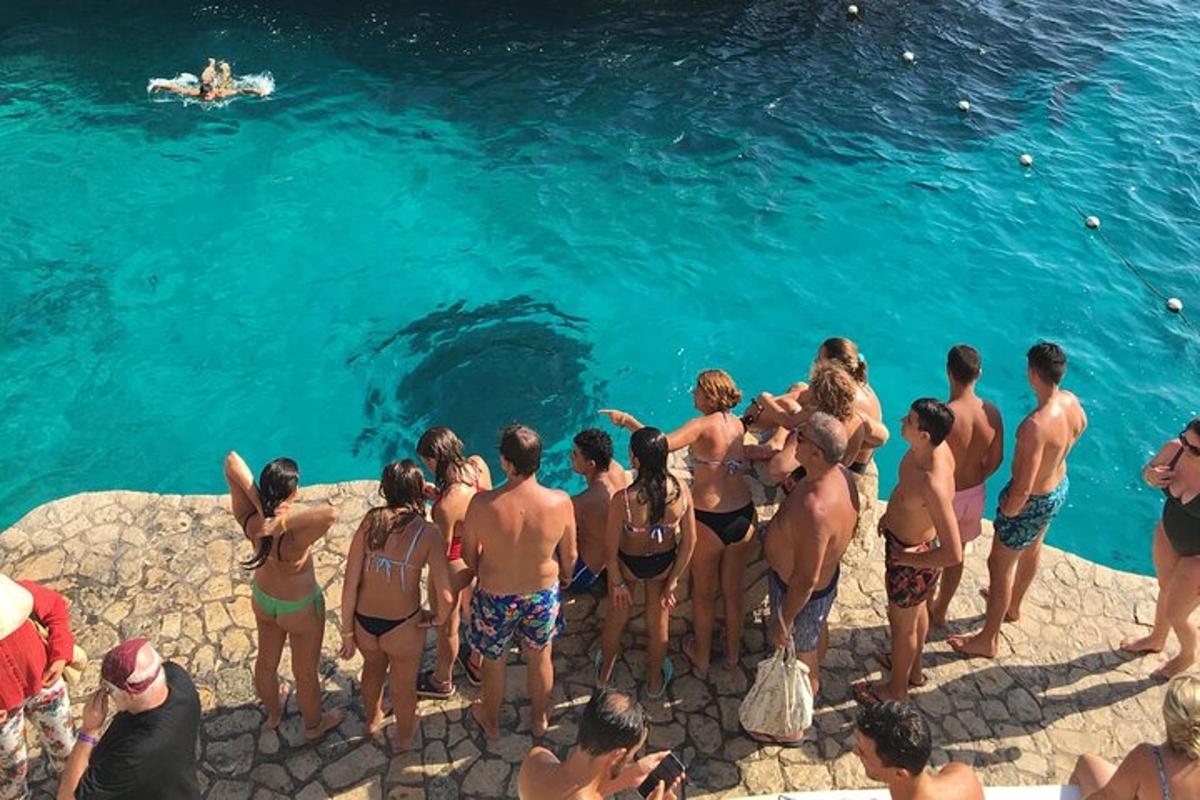 en gruppe mennesker som står i et basseng og ser på en hai i vannet
