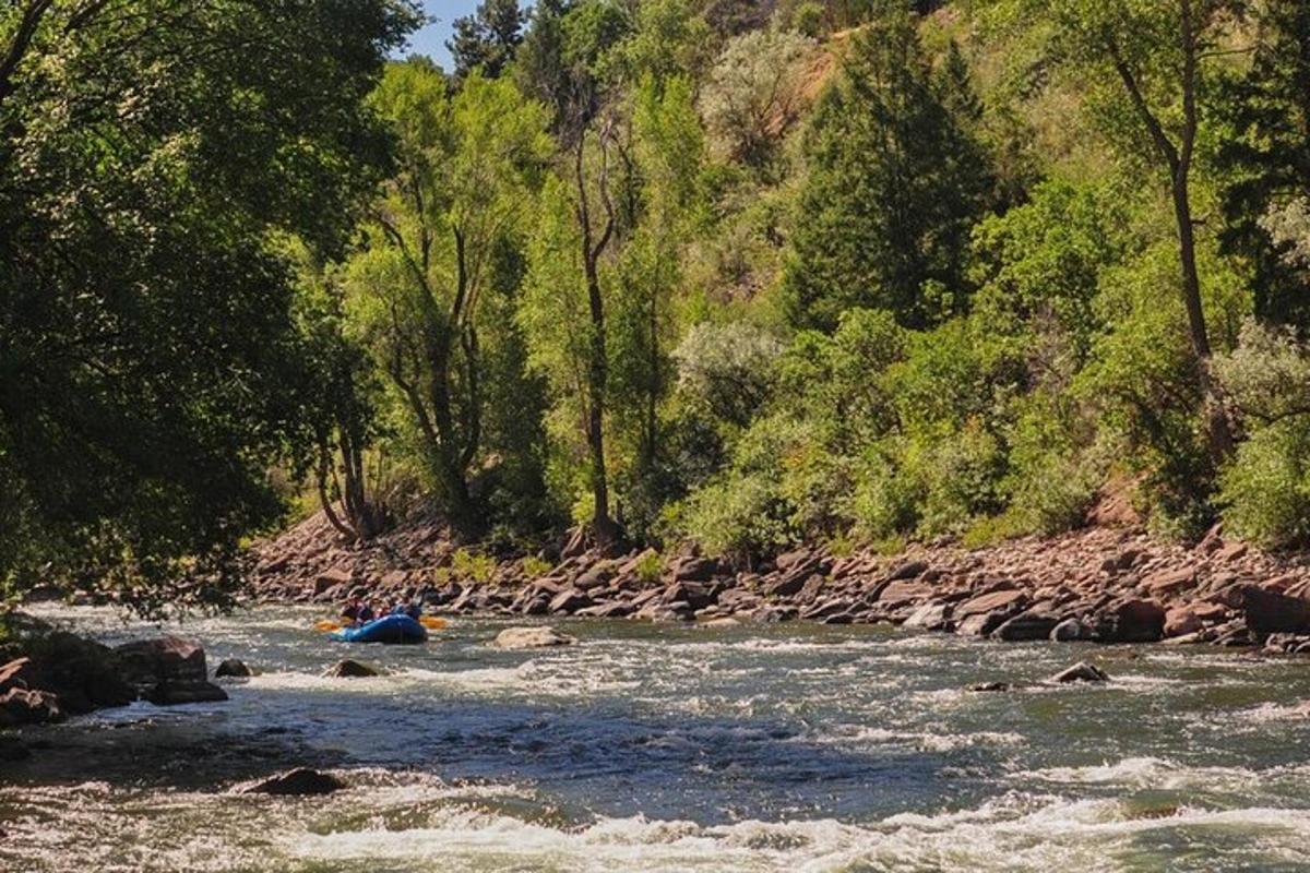 a person rafting down a river with trees in the background