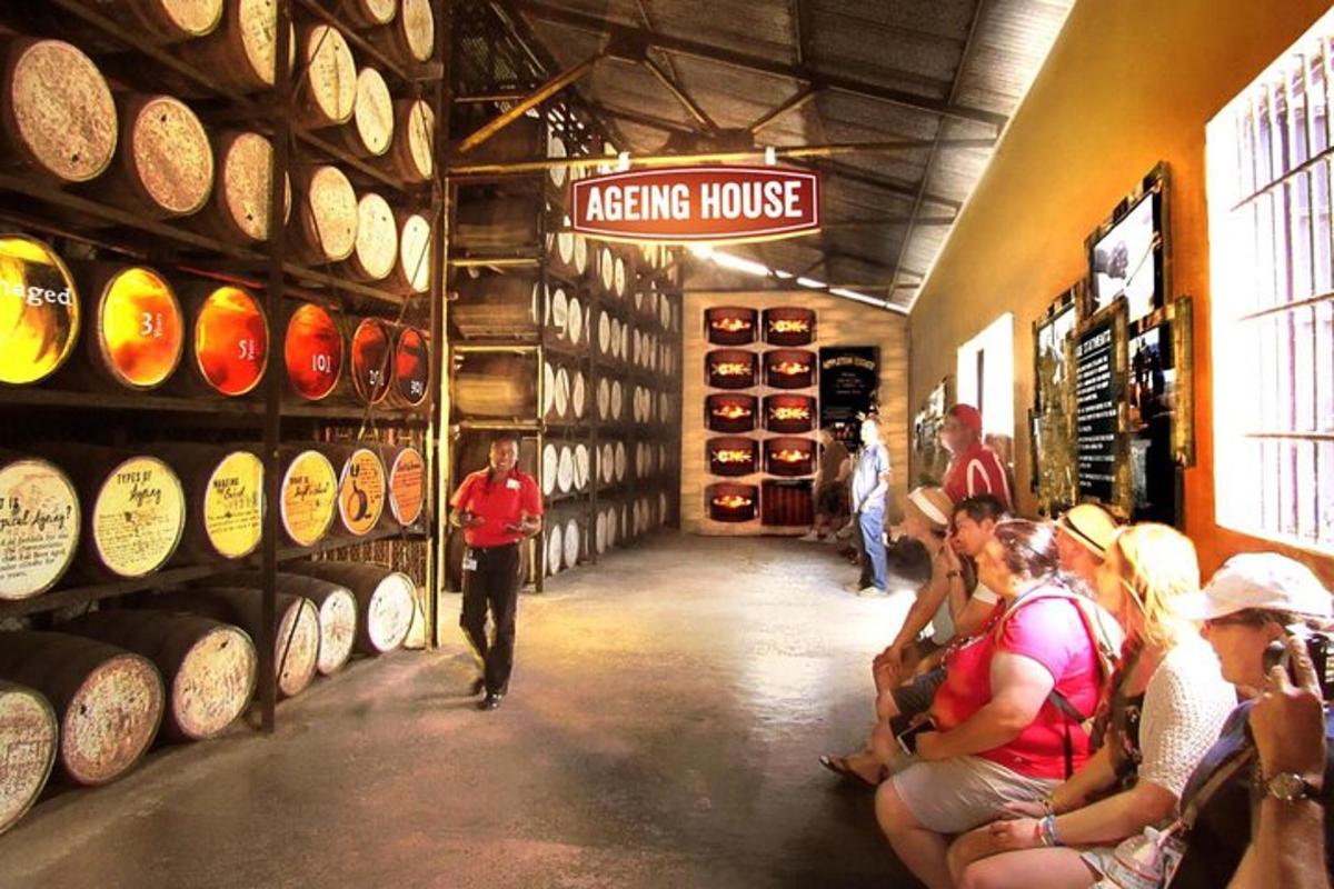 a group of people sitting in a wine tasting room