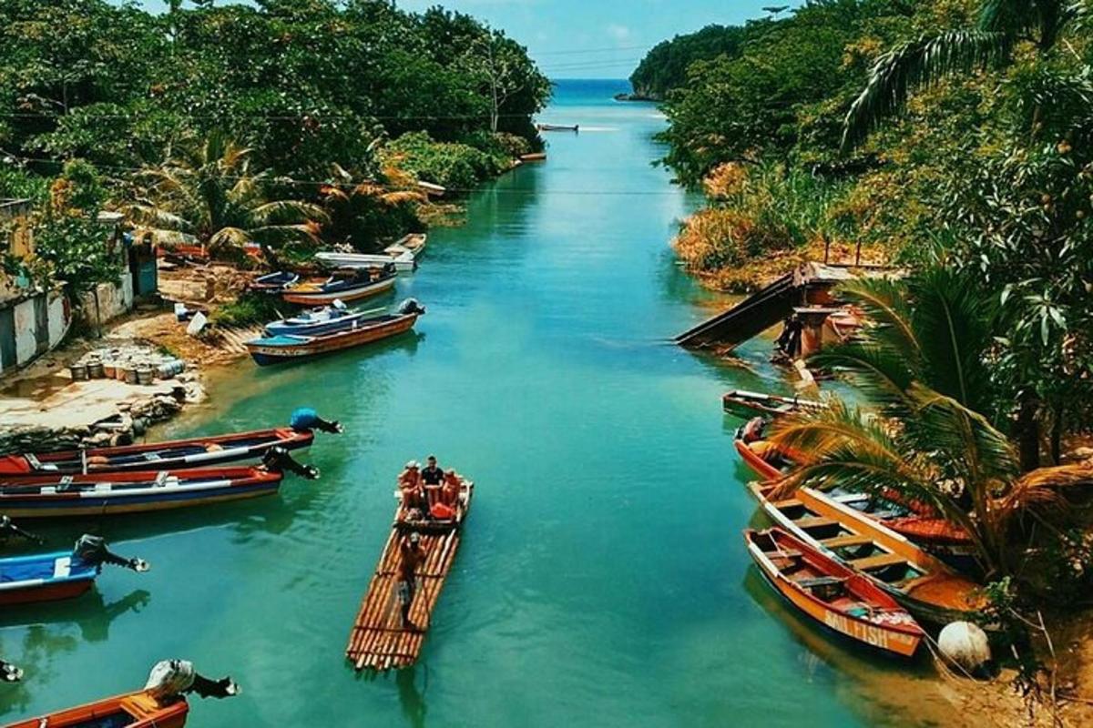 một nhóm thuyền trên sông có cây cối