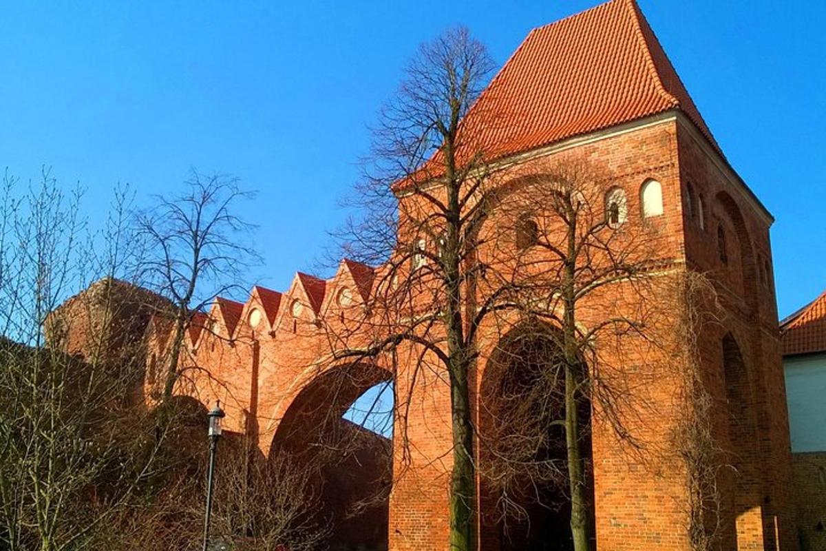 a large brick building with a tree in front of it