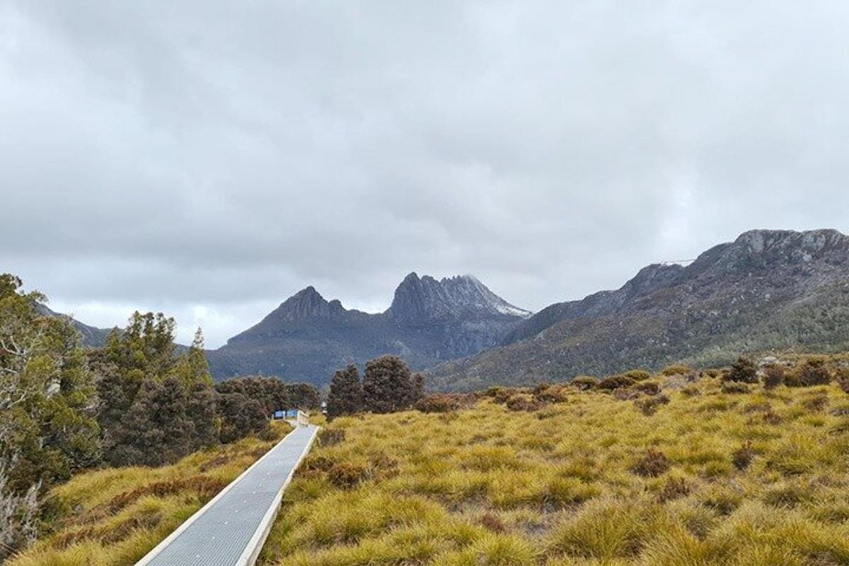 una strada in un campo con le montagne sullo sfondo