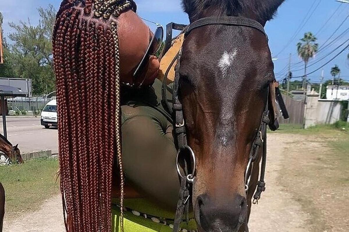 a brown horse with braids standing next to a road