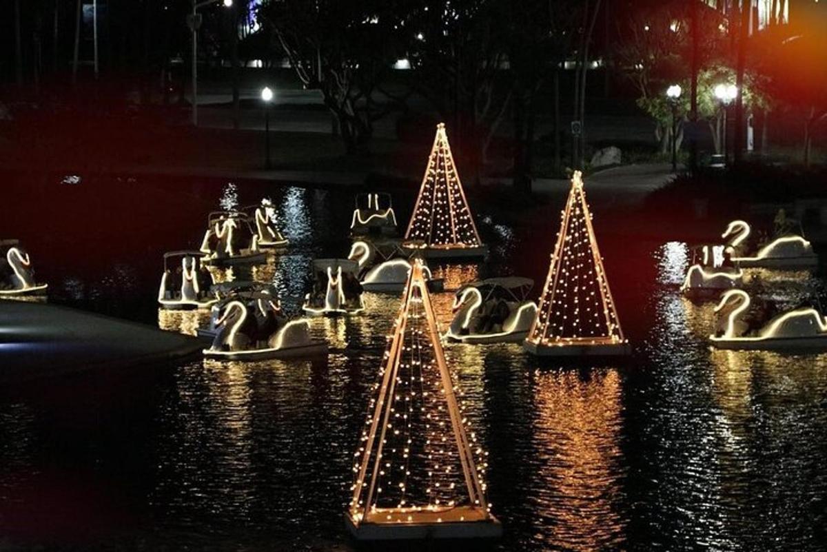 夜の水面に浮かぶクリスマスライトの群れ