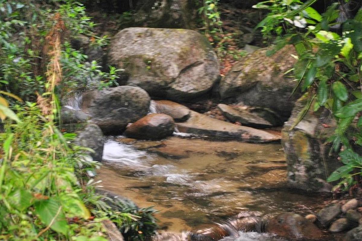 a person laying on the ground in a stream