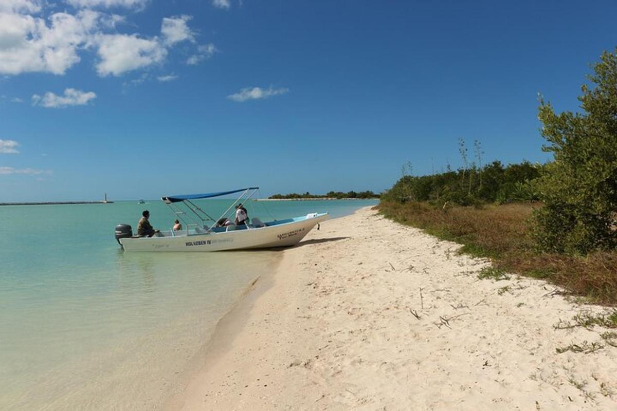 a boat on the shore of a beach