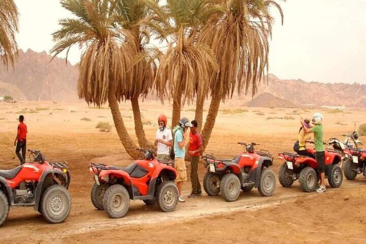 isang grupo ng mga tao na nakatayo sa paligid ng mga atv at mga puno ng palma