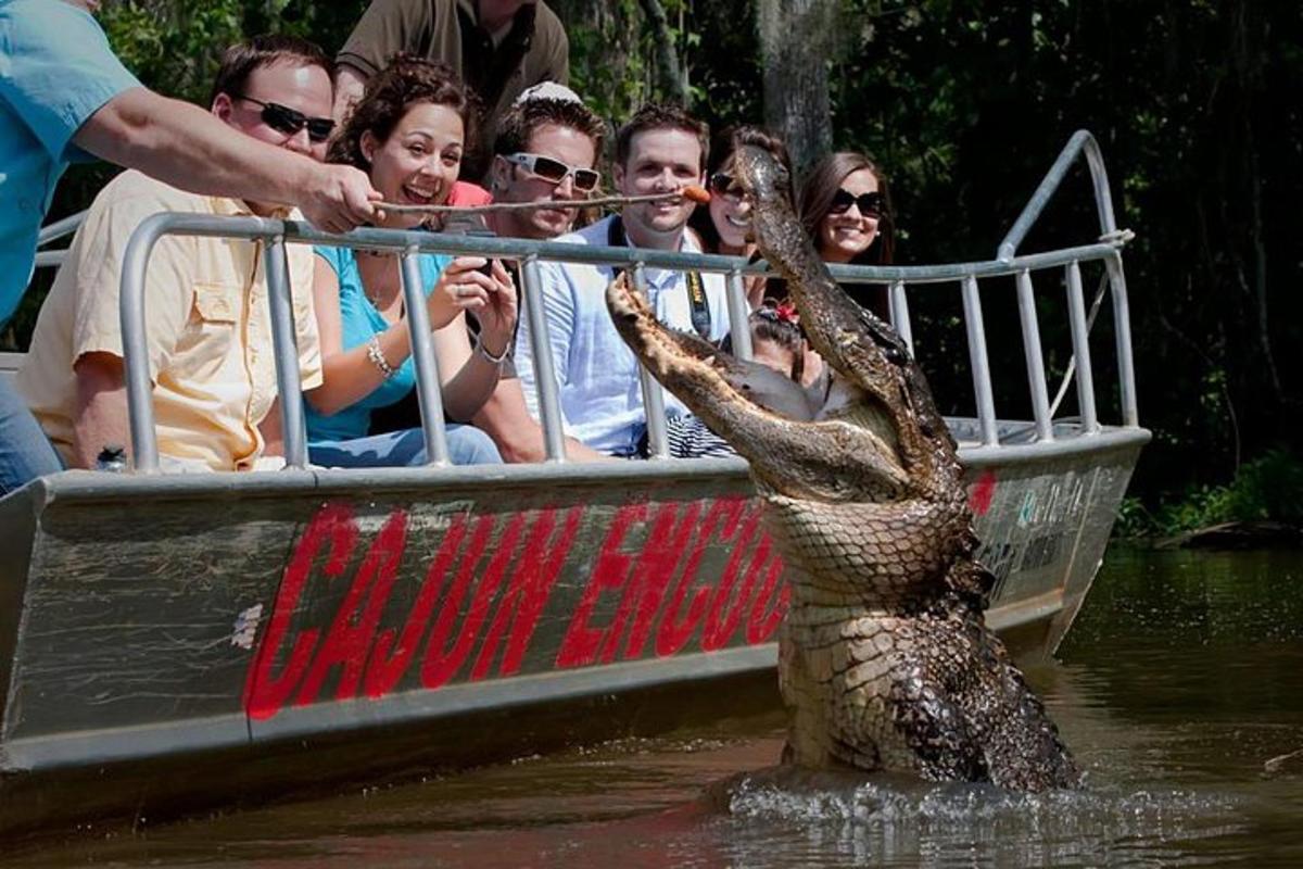 ein Krokodil, das im Wasser vor einem Boot steht