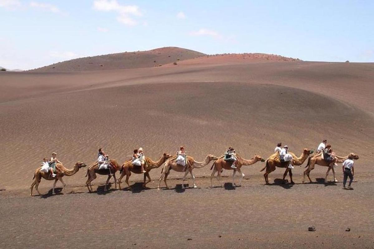 a group of people riding horses in the desert