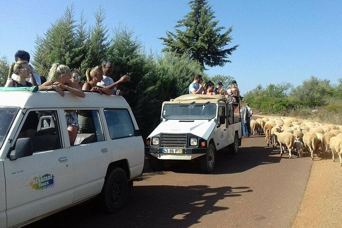 un gruppo di persone in sella al tetto di un veicolo bianco