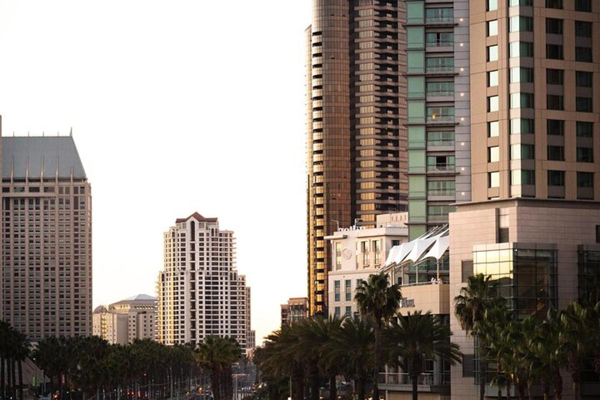 a city skyline with tall buildings and palm trees