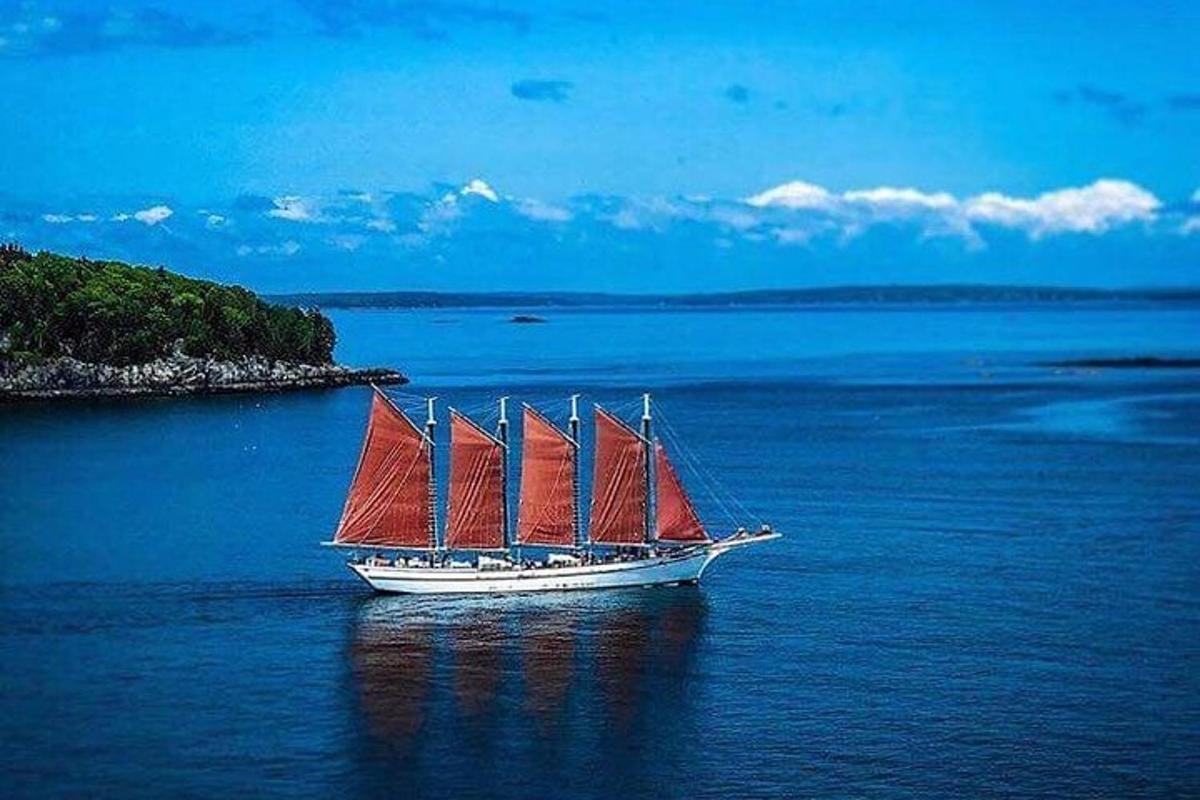 a sail boat with red sails in the water