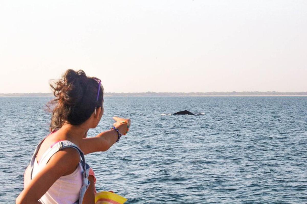 una mujer señalando una ballena en el agua