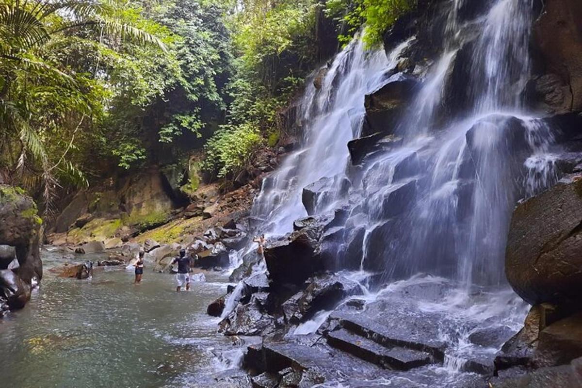 persone in piedi nell'acqua vicino a una cascata