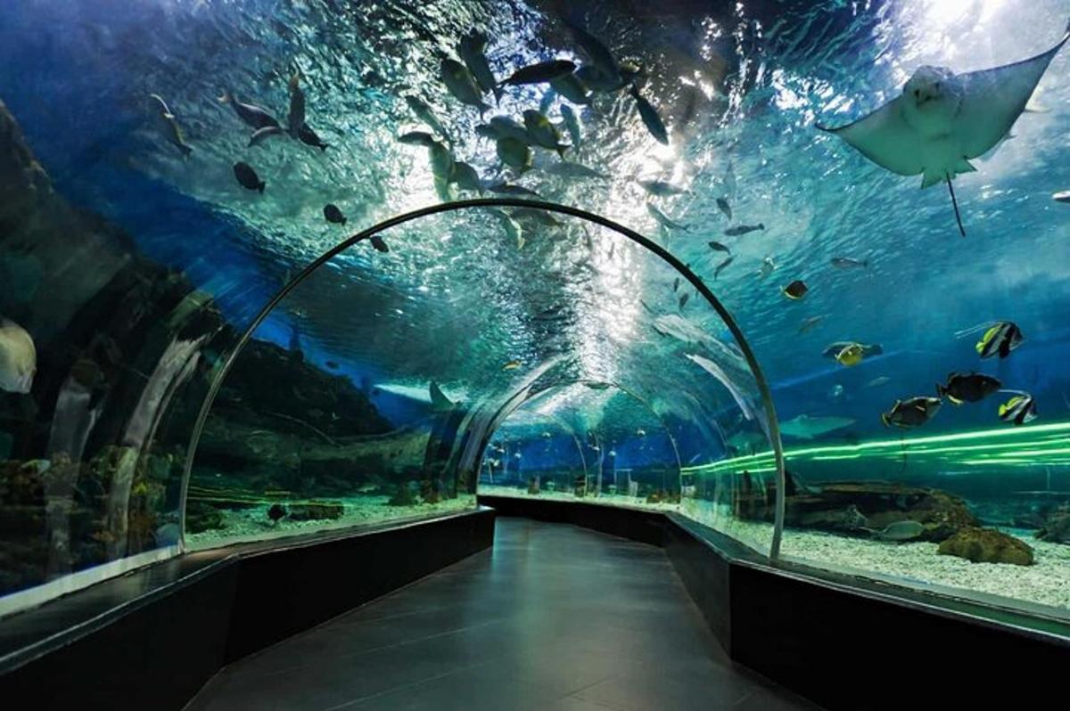Attraction picture 1