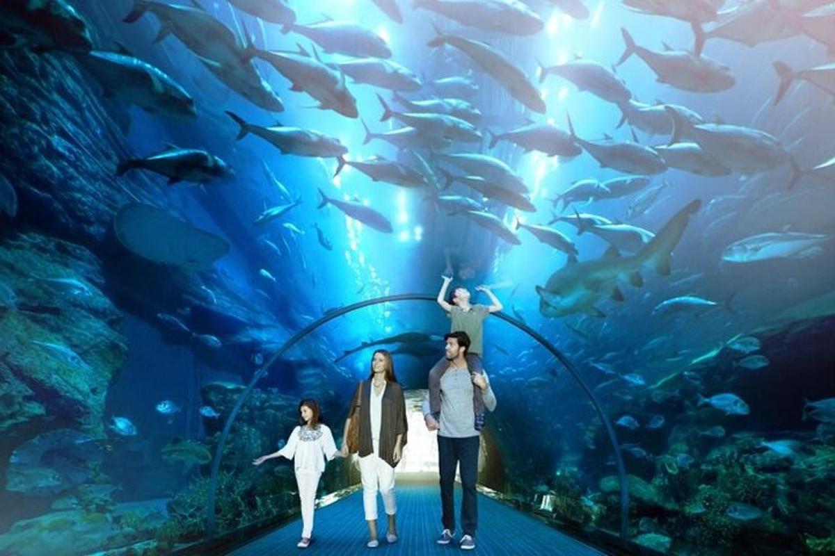 Attraction picture 2