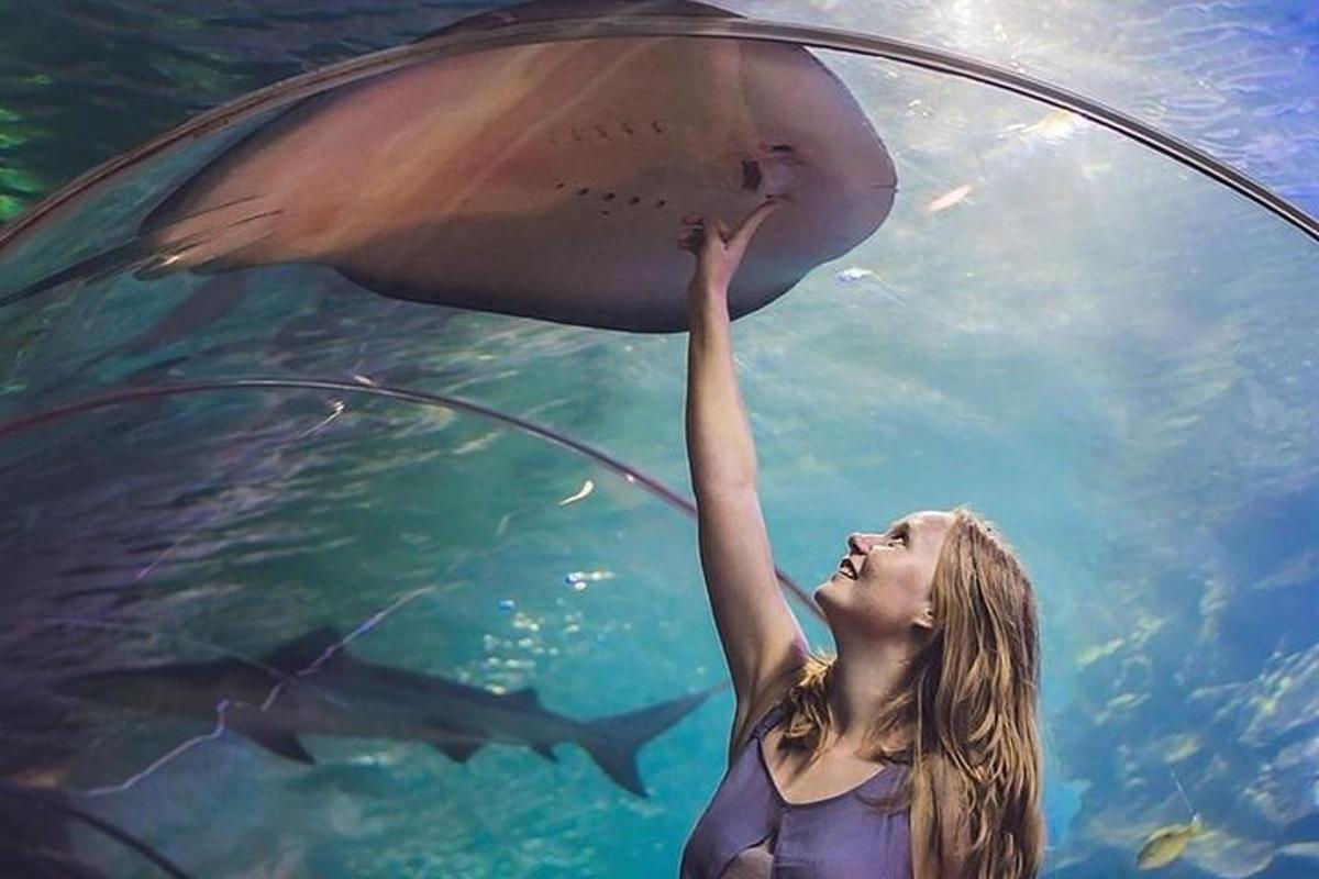Attraction picture 3
