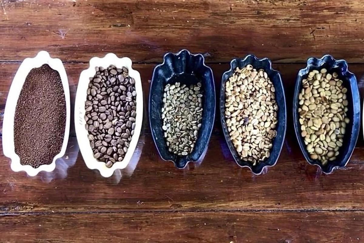 four bowls filled with seeds on a wooden table