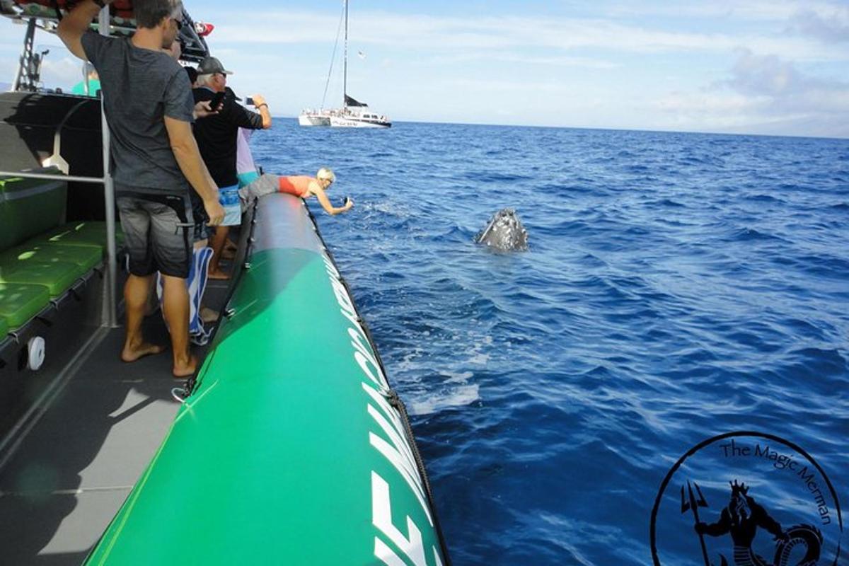 un gruppo di persone su una barca che guarda un delfino nell'acqua