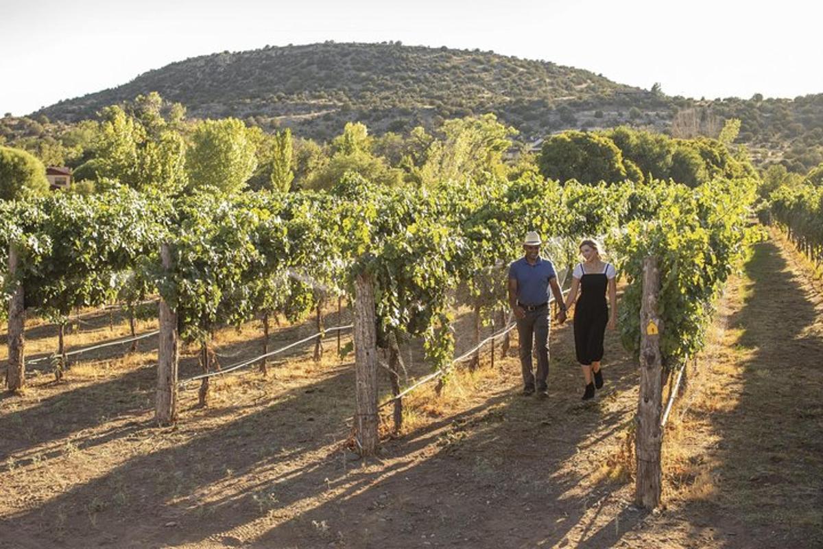 un uomo e una donna che camminano attraverso un vigneto