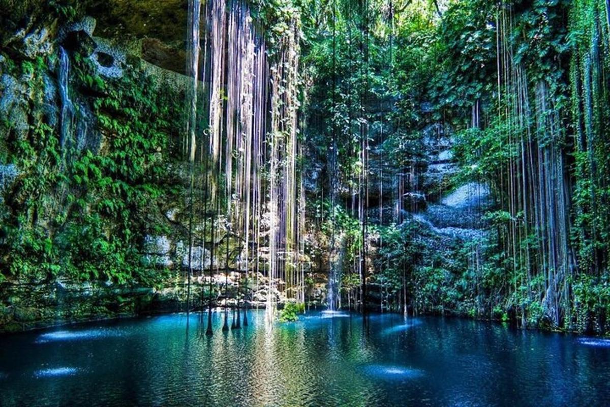 ein Wasserbecken mitten in einem Wald