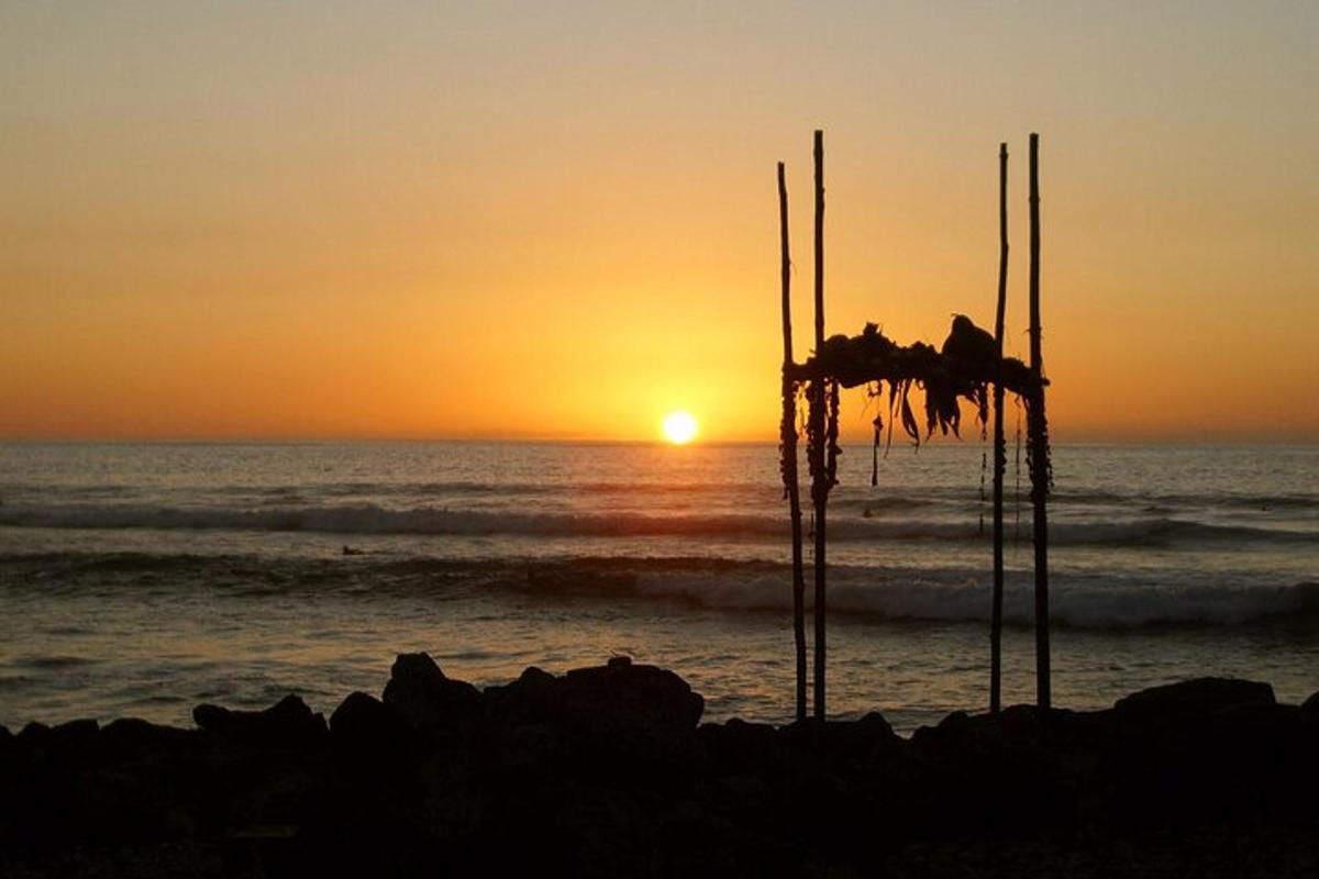 matahari terbenam di pantai dengan lautan dan rumpai laut