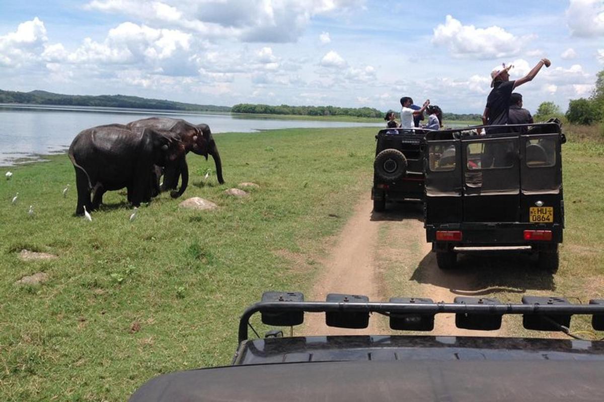 một nhóm người trên xe tải safari đang ngắm một con voi