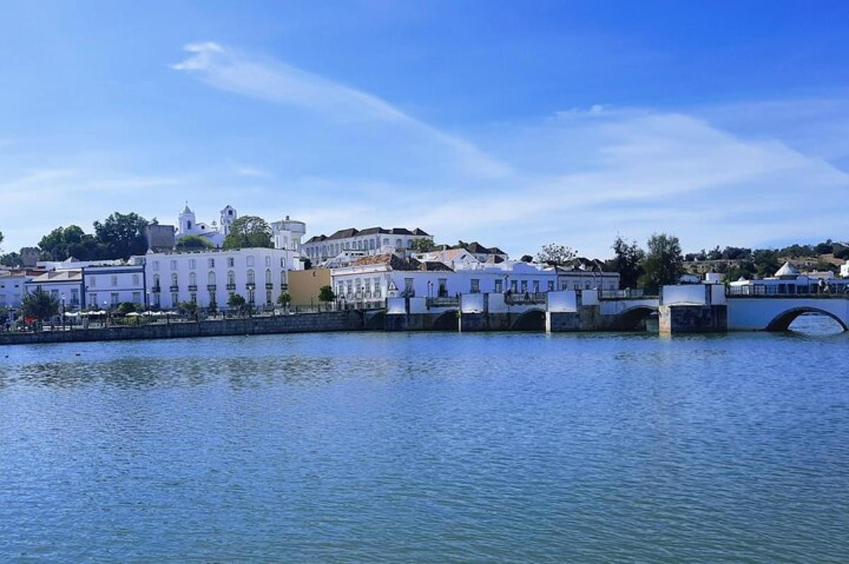 un grande specchio d'acqua con edifici e un ponte