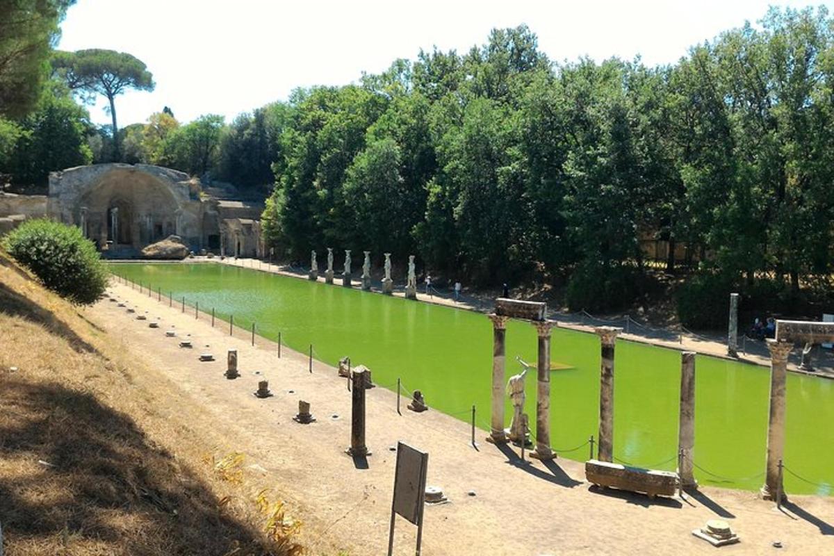 a pool of green water with wooden posts in it