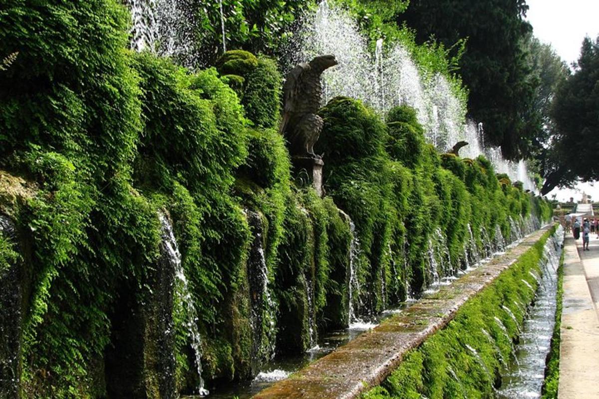 a row of bushes with a fountain