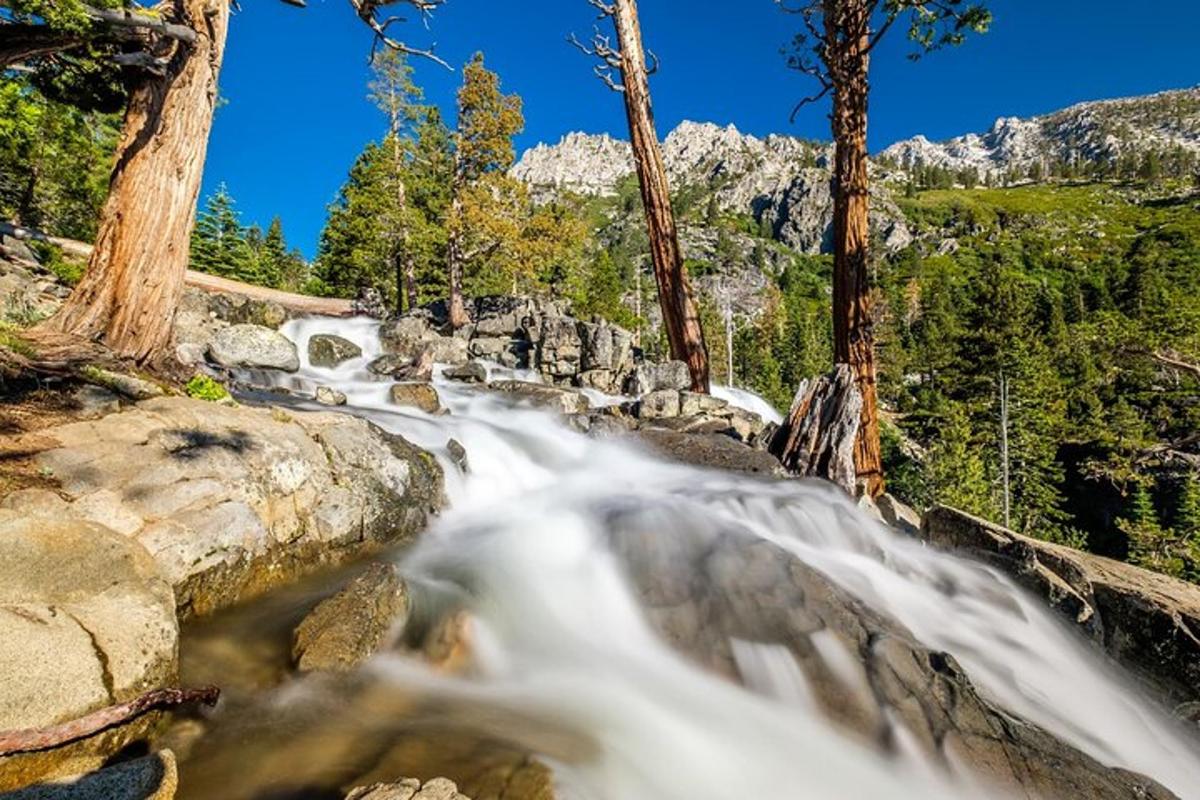 a waterfall in a forest with trees