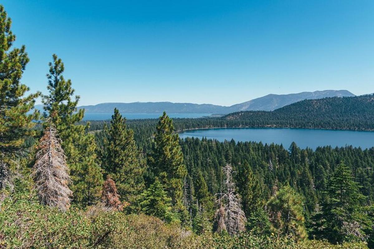 näkymä järvelle metsän keskellä