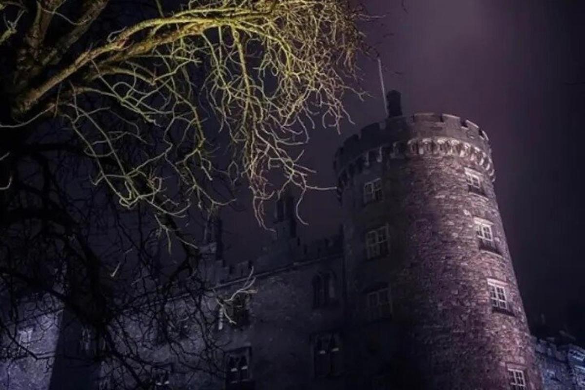 a castle at night with a tree in front of it