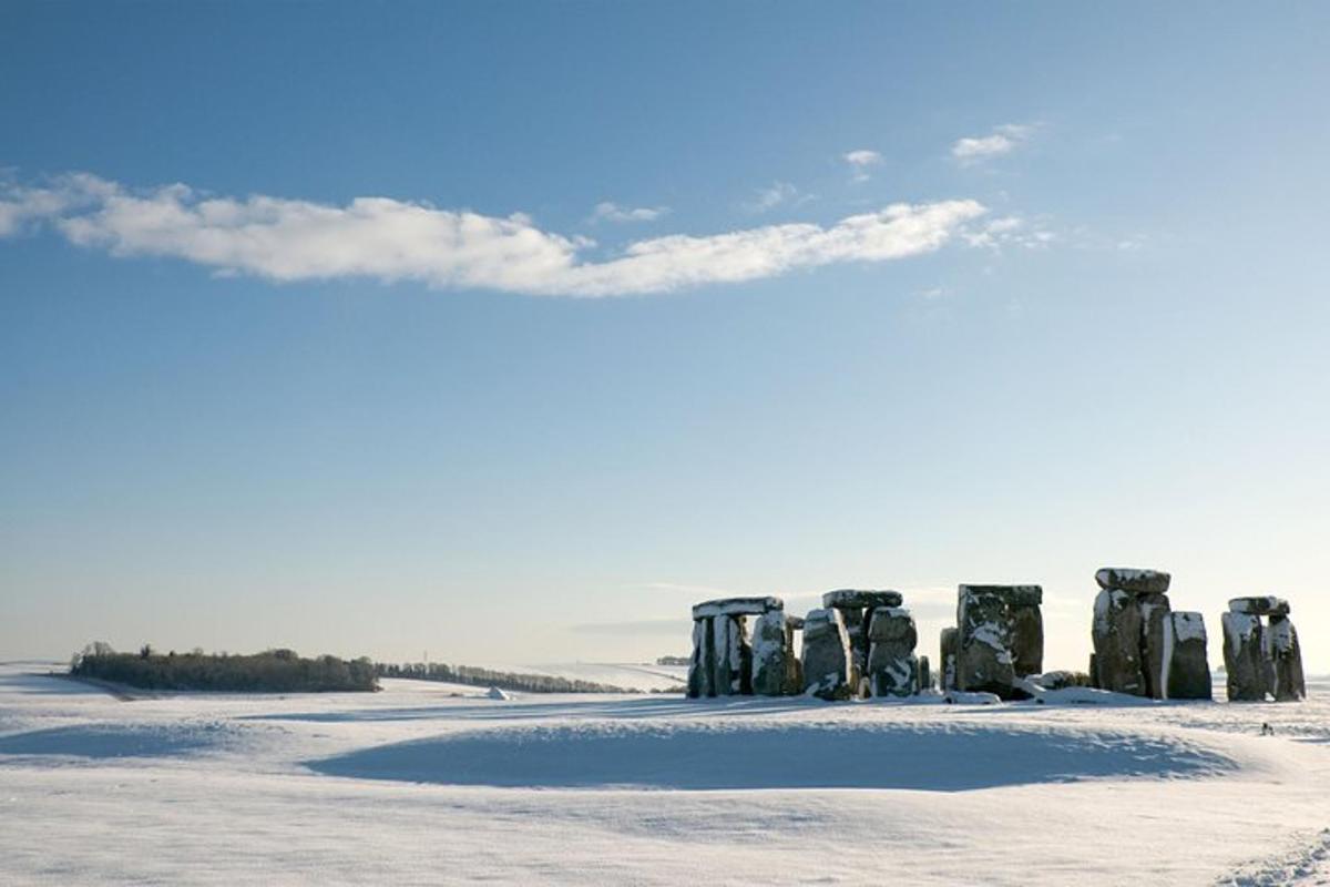 Un grupo de sillas colocadas en la nieve.