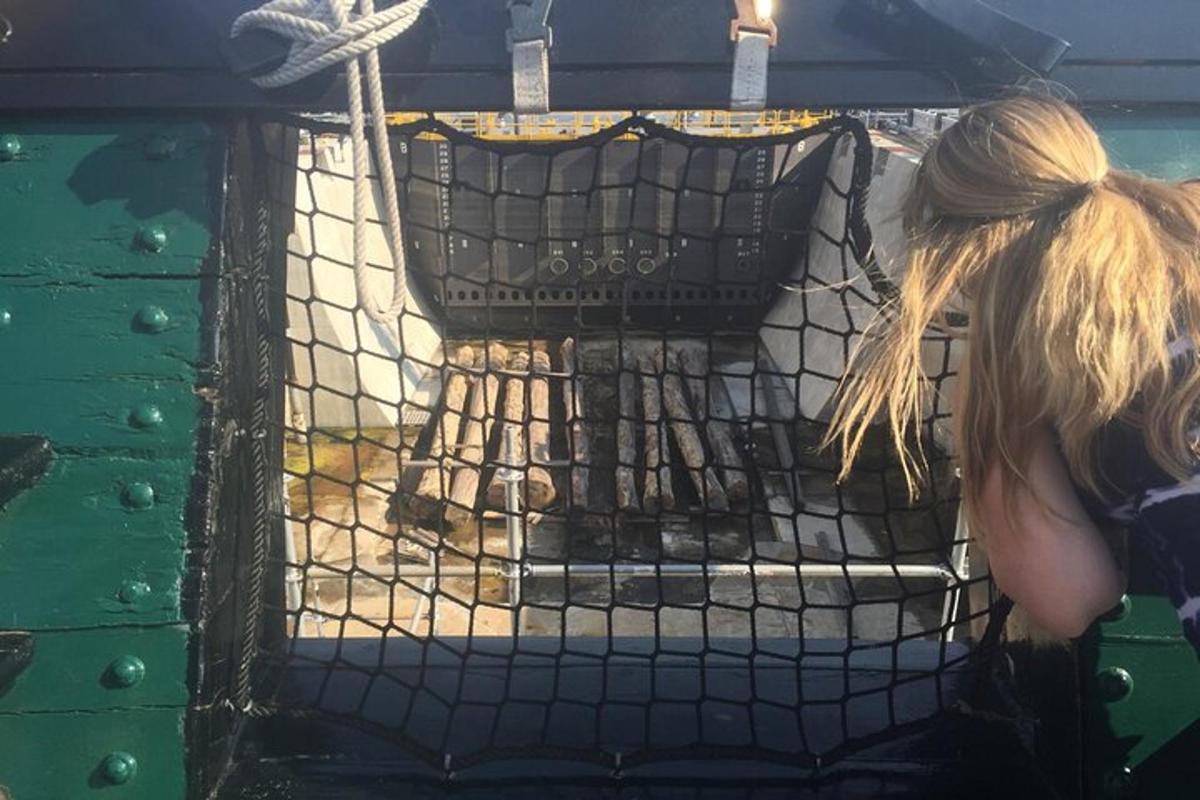 a woman looking at a giraffe in a cage