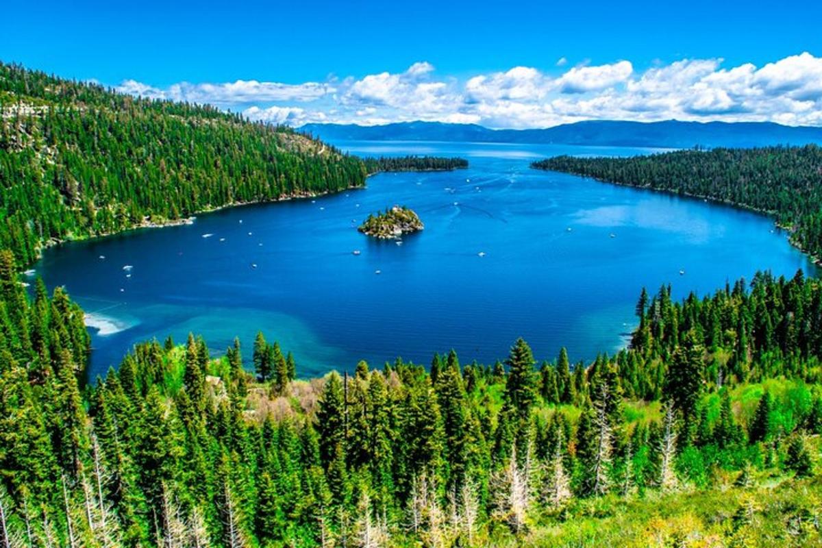 an island in a lake in the middle of a forest