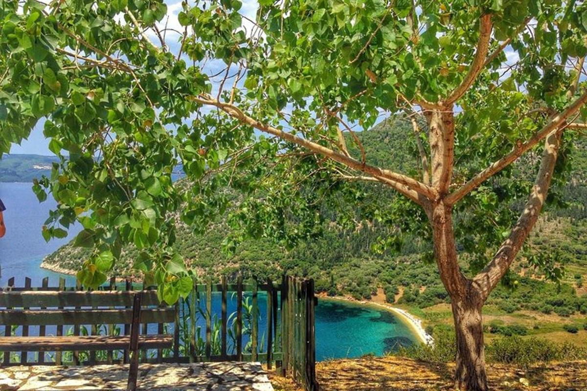 a tree with a fence and a pool of water