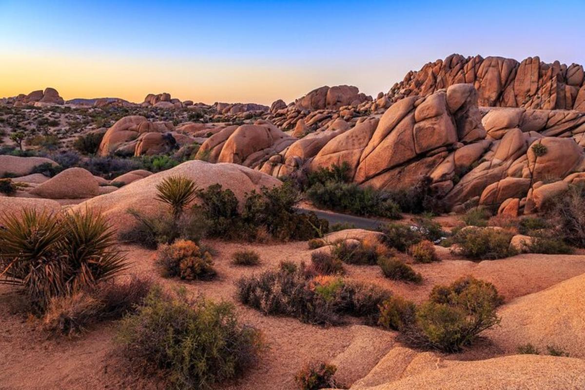a view of a desert with rocks and bushes