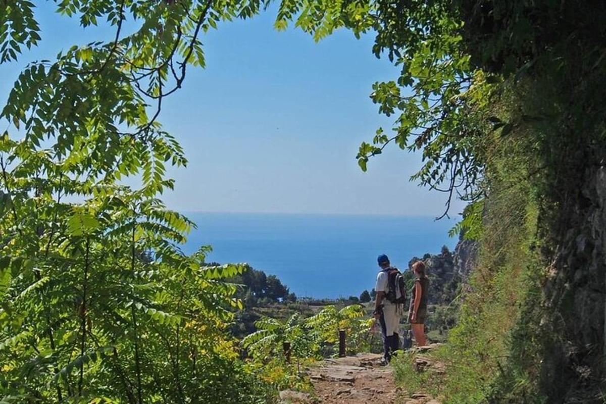dva človeka, ki hodita po makadamski poti skozi gozd