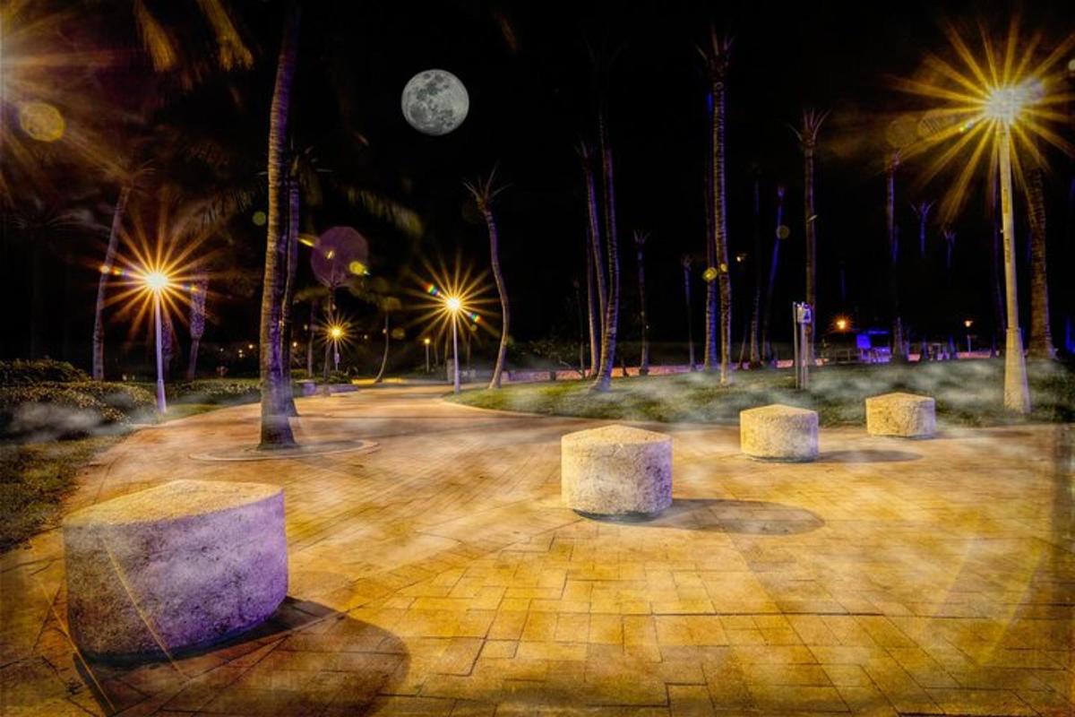 Un parque de noche con luces y un reloj.