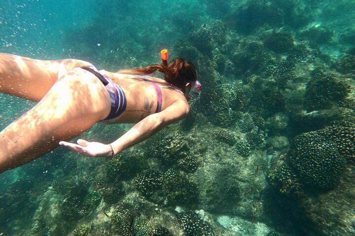 o femeie în bikini înotând în apă