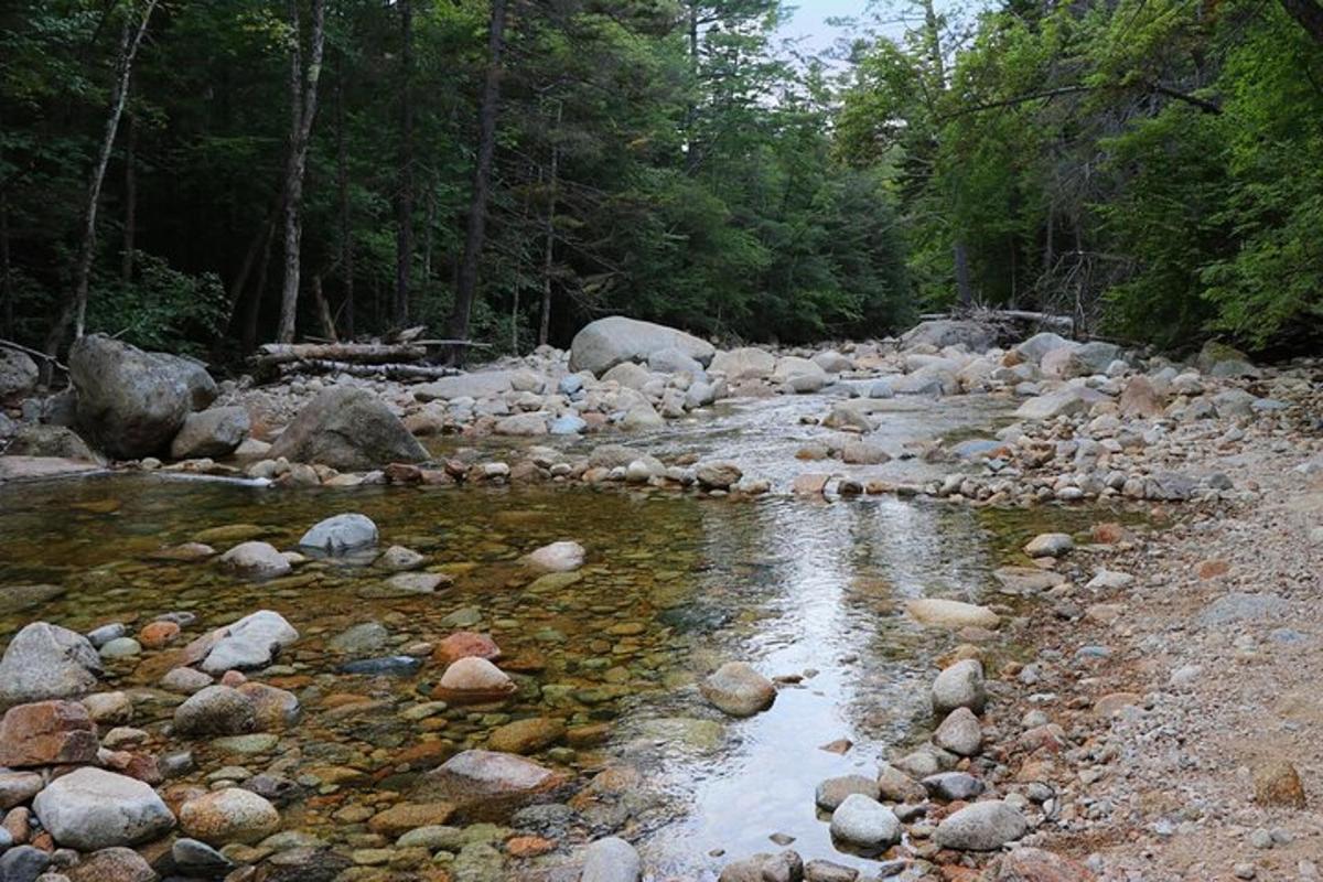 a stream of rocks and water with trees in the background