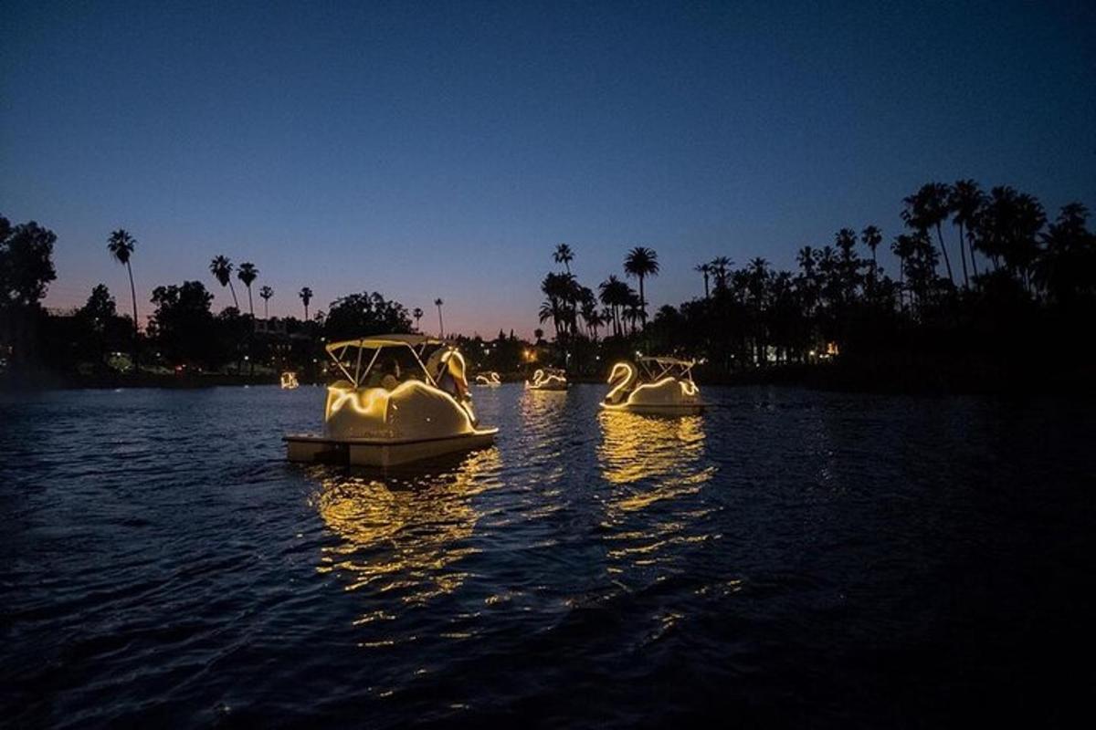 a group of white boats in the water at night