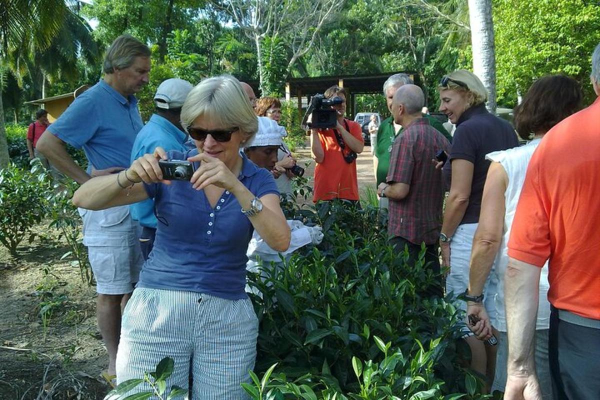 a woman taking a picture of a group of people
